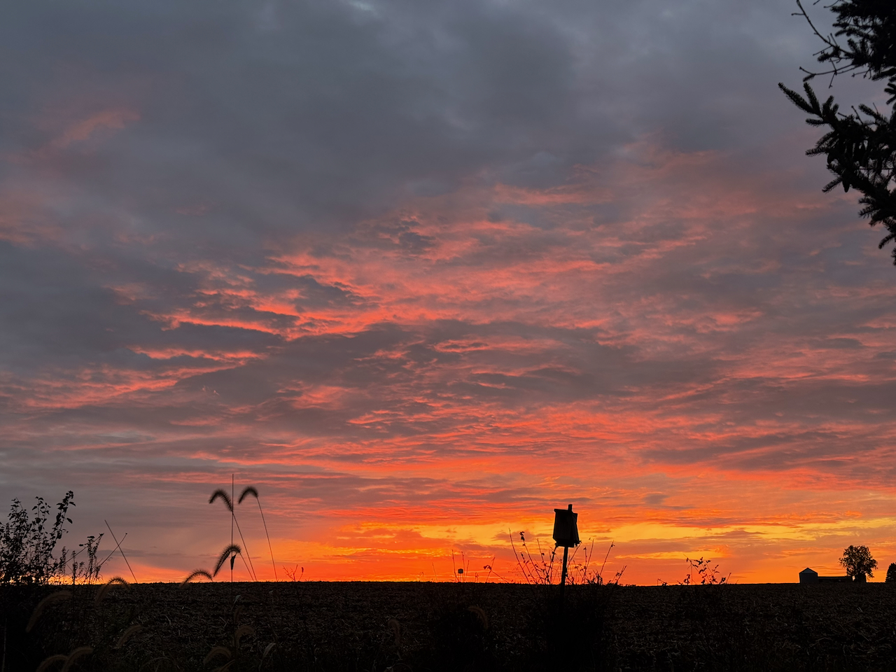 10908 NW 107th Street, Granger, Iowa - Sunset From Property Line